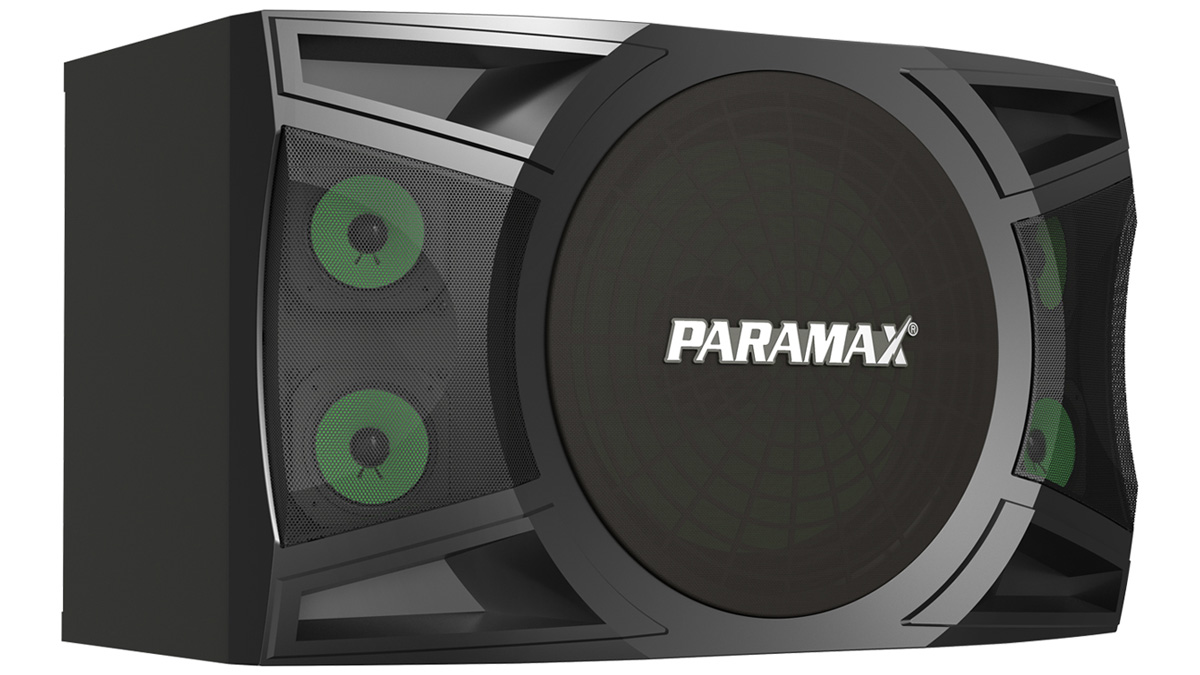 Mặt trước loa Paramax P-1000