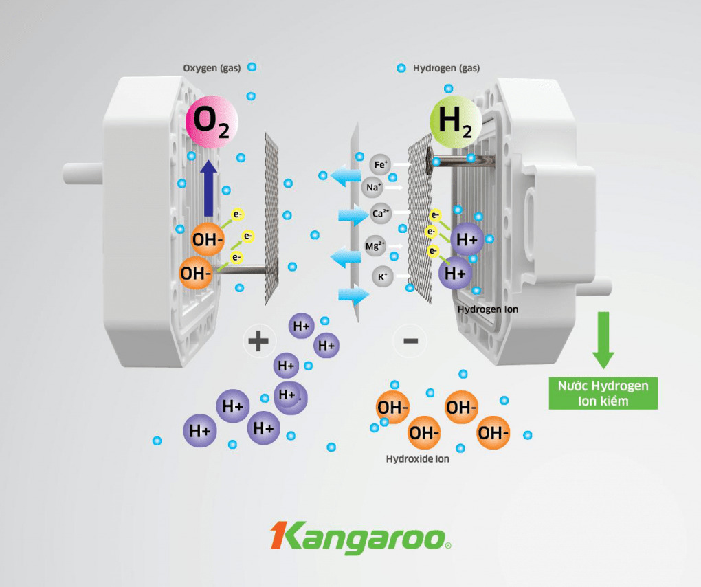  Máy lọc nước Kangaroo Ion kiềm KG100EO tạo nước kiềm tốt cho sức khỏe