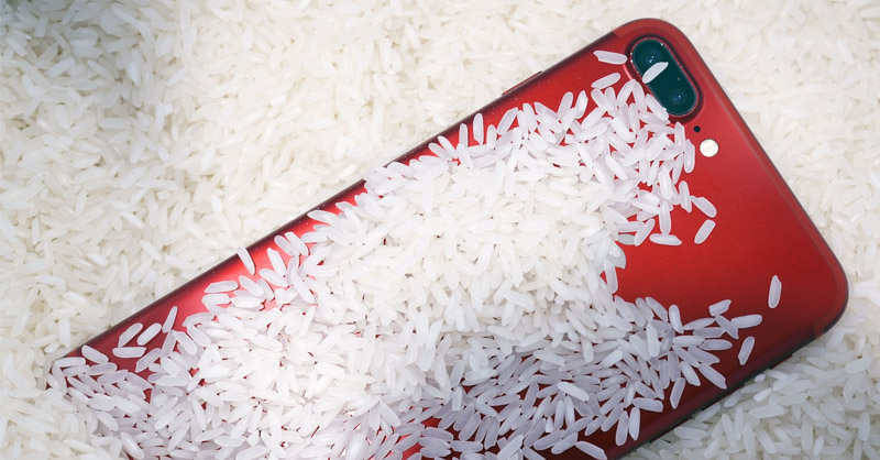 Bỏ điện thoại dính nước vào thùng gạo là thói quen phá hủy điện thoại 