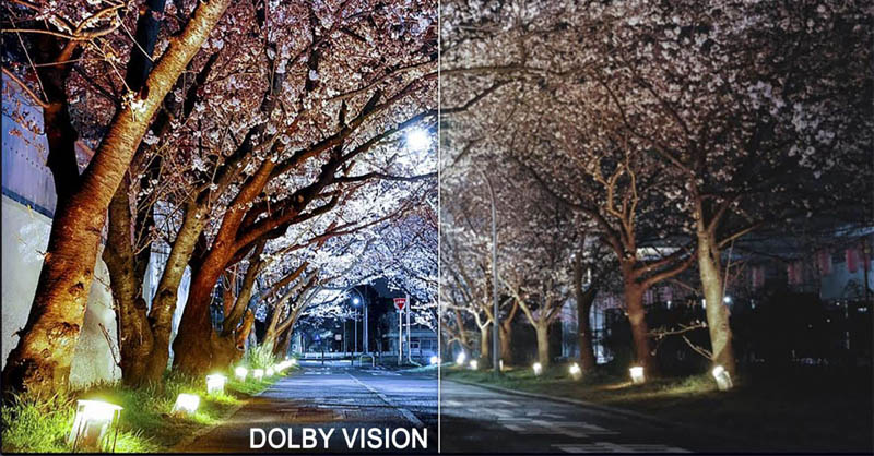 Hình ảnh màu sắc nguyên bản của Dolby Vision