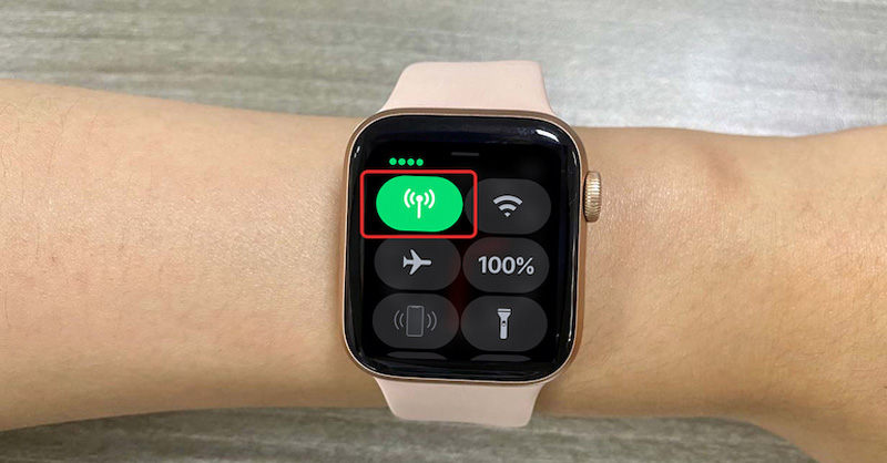 Kiểm tra Apple Watch thiết lập eSIM chưa