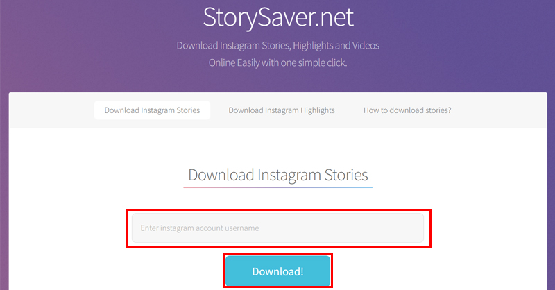 Nhập tên và nhấn Download để tải Story Instagram về máy tính