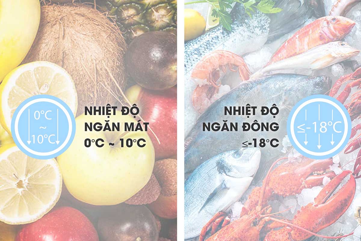 Tủ được thiết kế với 2 ngăn đông/mát