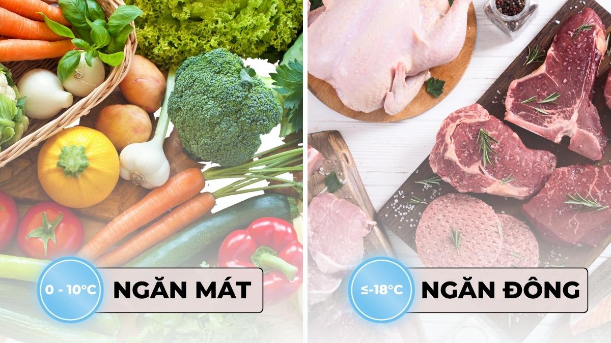 Ngăn đông và mát tách biệt cho phép lưu trữ nhiều loại thực phẩm