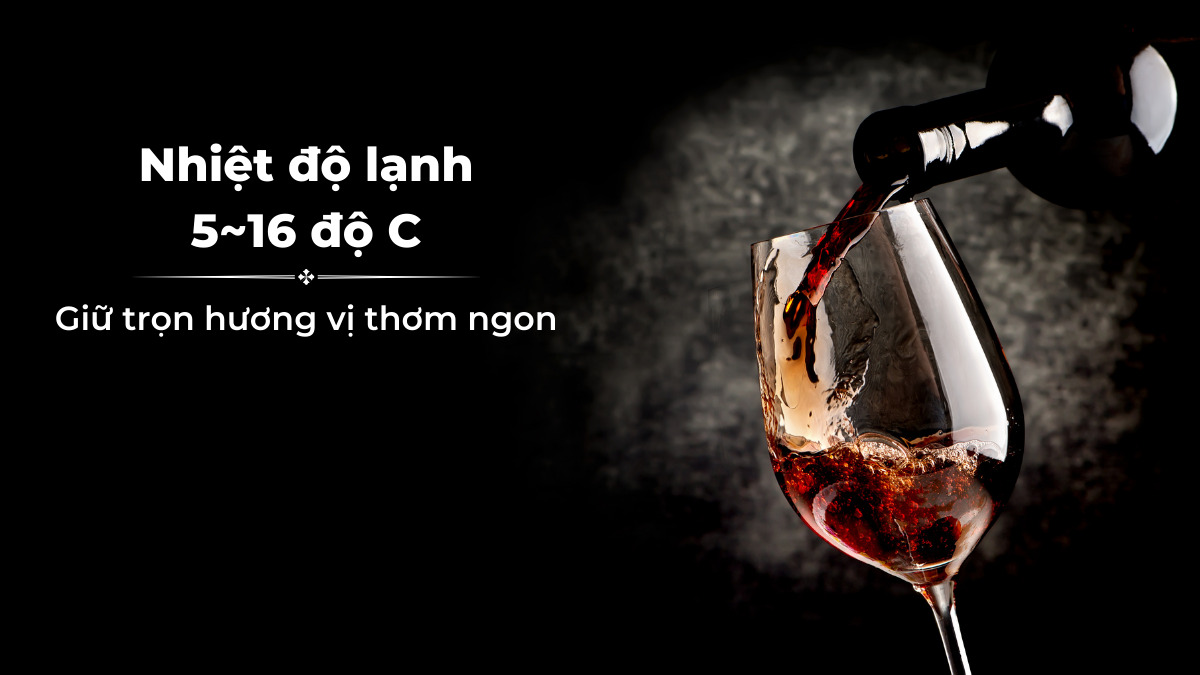 Tủ duy trì nhiệt độ ổn định giúp rượu giữ trọn hương vị thơm ngon