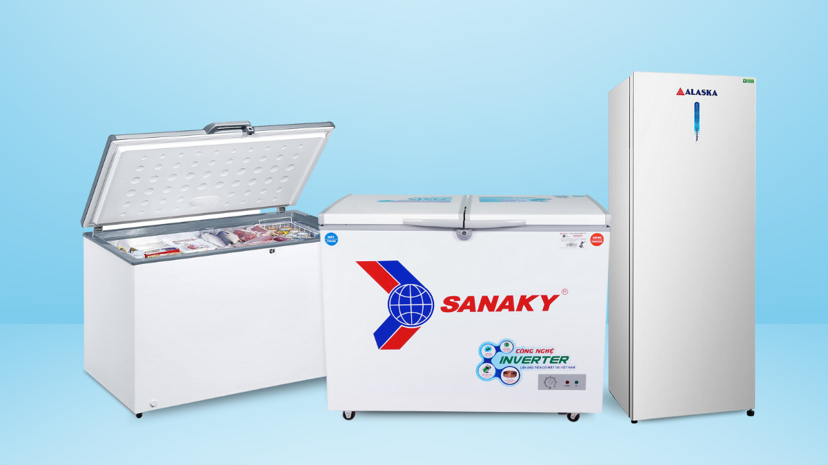 Tủ đông Sanaky nào phù hợp nhất với bạn?