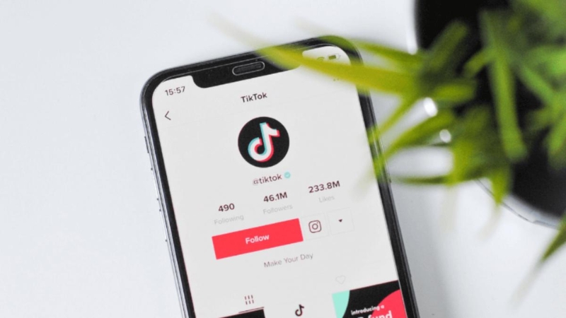 Bạn nên tạm ngừng việc follow đồng loạt để tránh bị TikTok khóa tài khoản