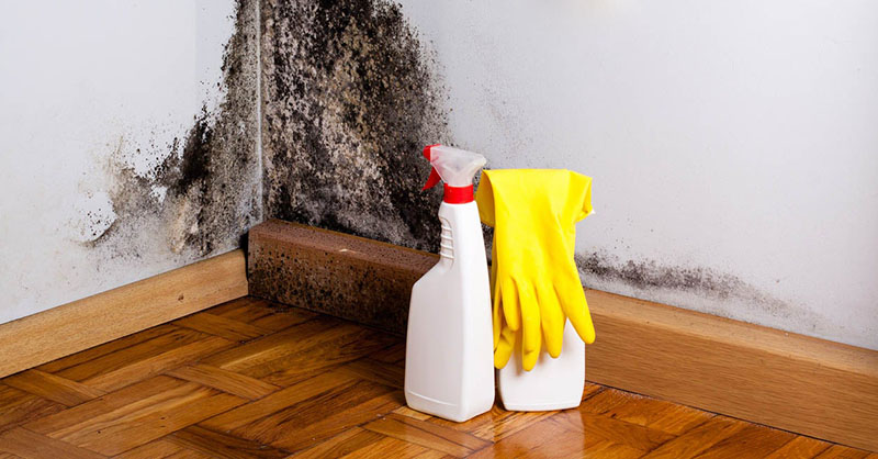 Cách chống ẩm mốc trong nhà