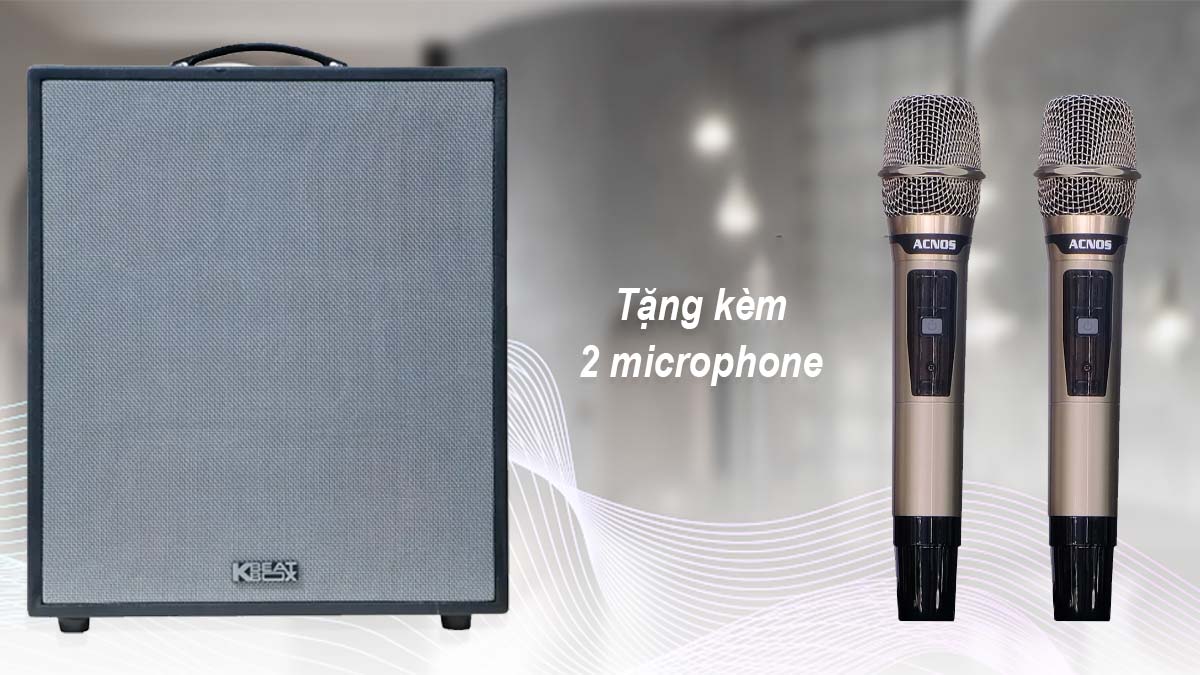 Sản phẩm đi kèm với 2 microphone chống hú di tần thông minh