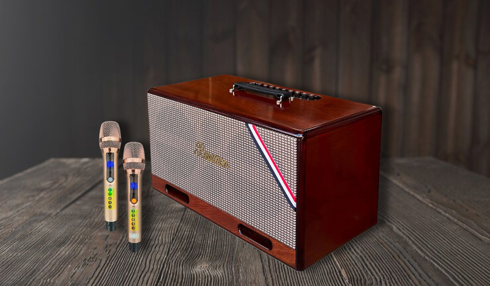 Loa xách tay di động Bossinon N2261K