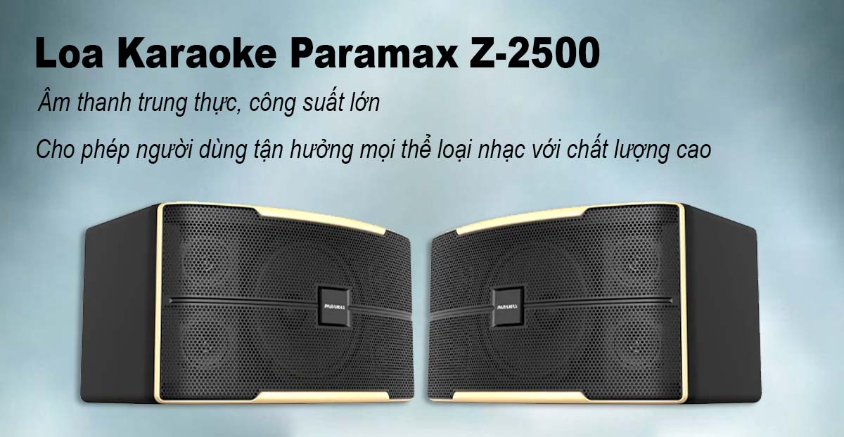 Khả năng trình diễn âm thanh của loa Paramax Z-2500 vô cùng ấn tượng