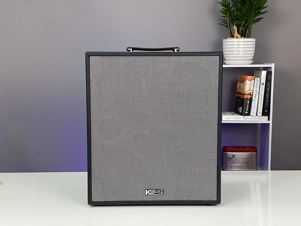 Loa karaoke Acnos CS550SR 1200W