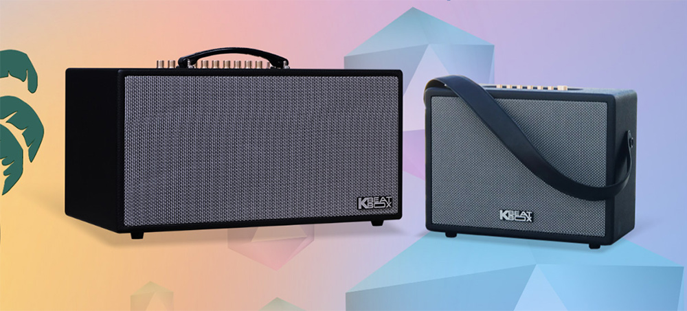 Loa karaoke xách tay Acnos