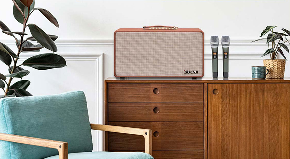 Loa karaoke xách tay iCore