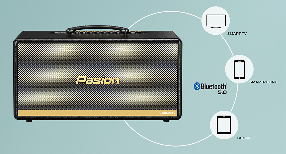 Loa karaoke xách tay Paramax