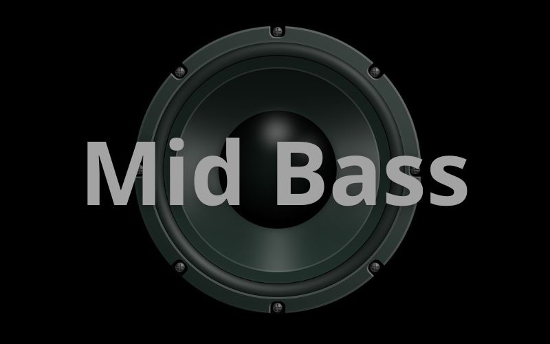 Loa mid bass có thể tái tạo những âm trung thấp
