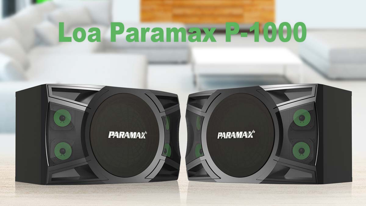 Loa Paramax P-1000 có ngoại hình cứng cáp, mạnh mẽ và hiện đại