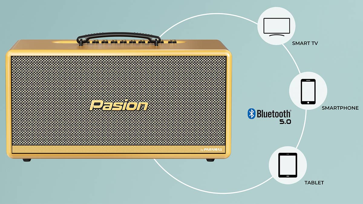 Loa Paramax PASION 2c (Màu Vàng) có hỗ trợ Bluetooth 5.0