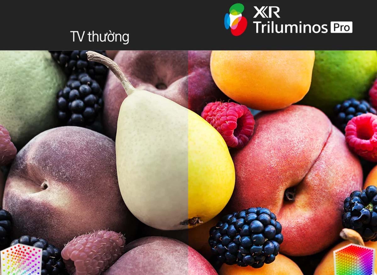 Công nghệ XR Triluminos Pro của Tivi Sony 4K 55 Inch XR-55X90K