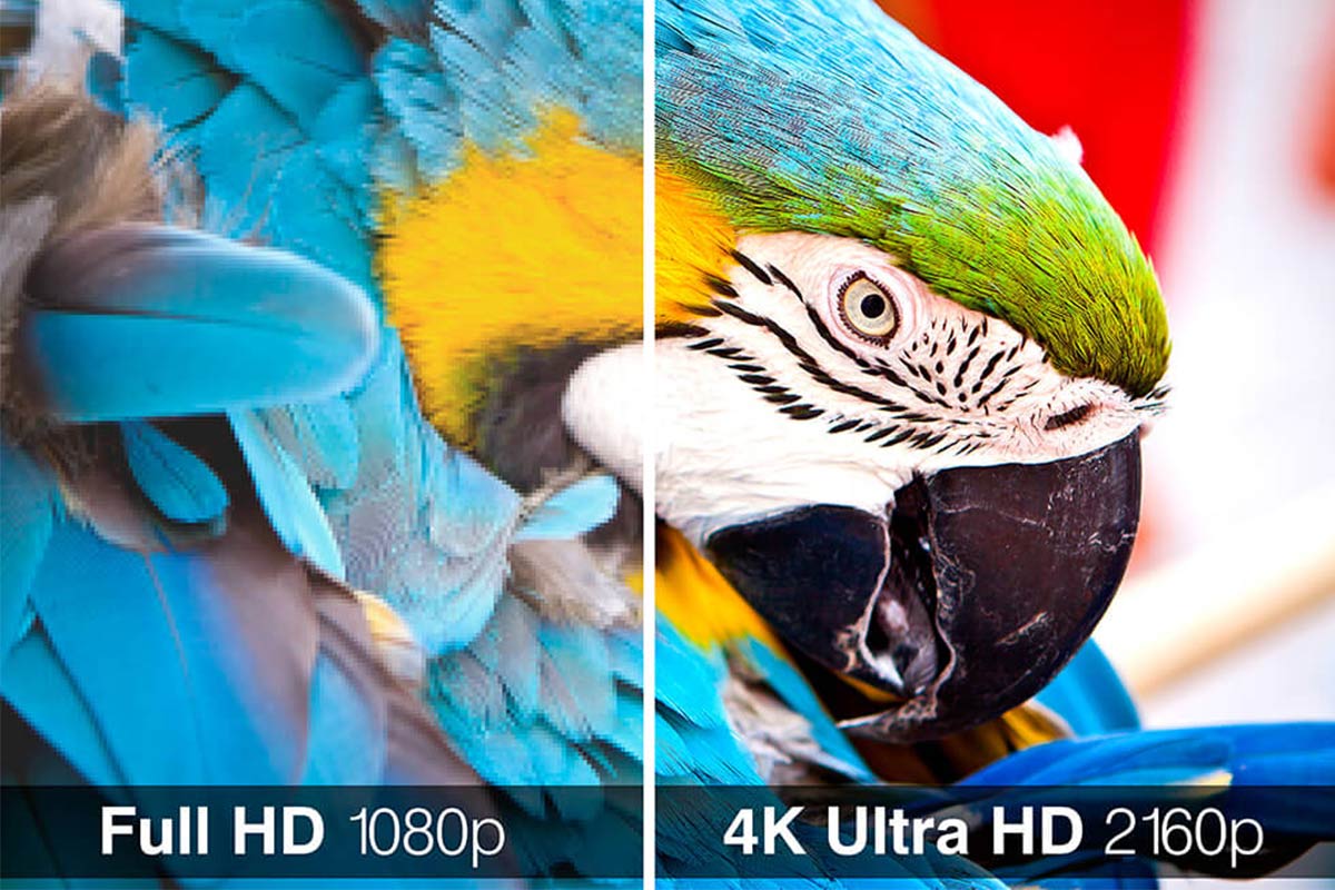 Độ phân giải 4K UHD tái hiện hình ảnh sắc nét hơn