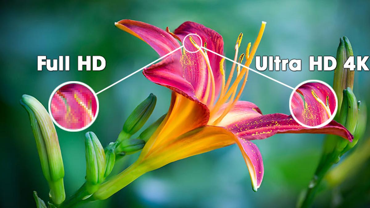 Độ phân giải Ultra HD 4k cho hình ảnh sắc nét, đẹp rõ đến từng chi tiết