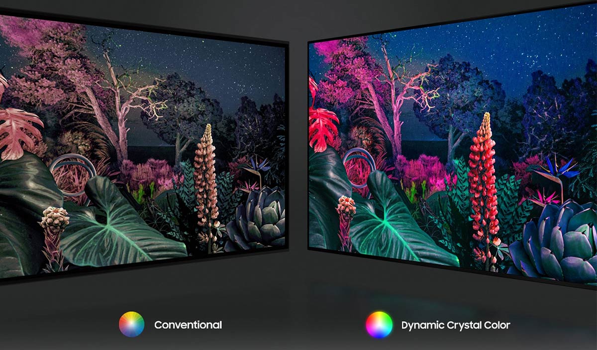 Công nghệ Dynamic Crystal Color giúp hình ảnh sống động và rực rỡ hơn