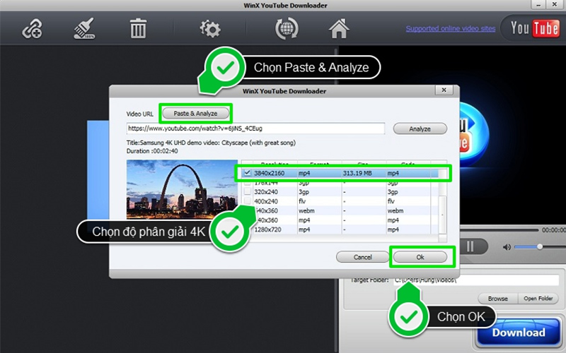 Nhấn vào mục Paste & Analyze, chọn độ phân giải là 4K rồi nhấn OK