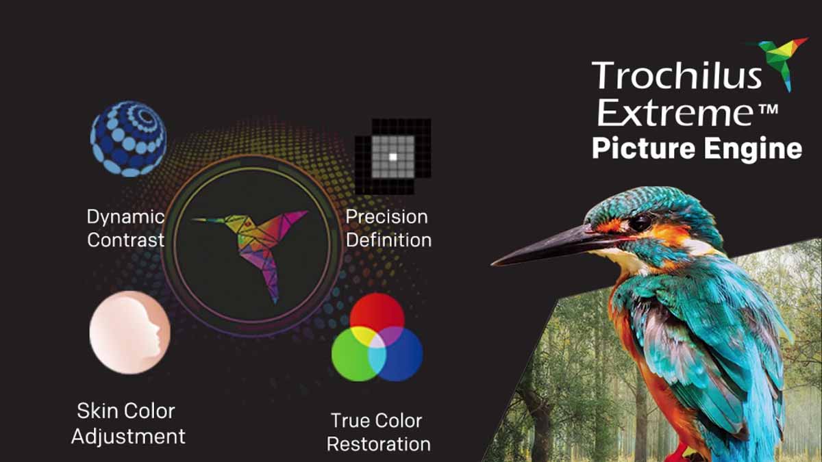 Công nghệ Trochilus Extreme cải thiện hình ảnh rõ nét và màu sắc rực rỡ