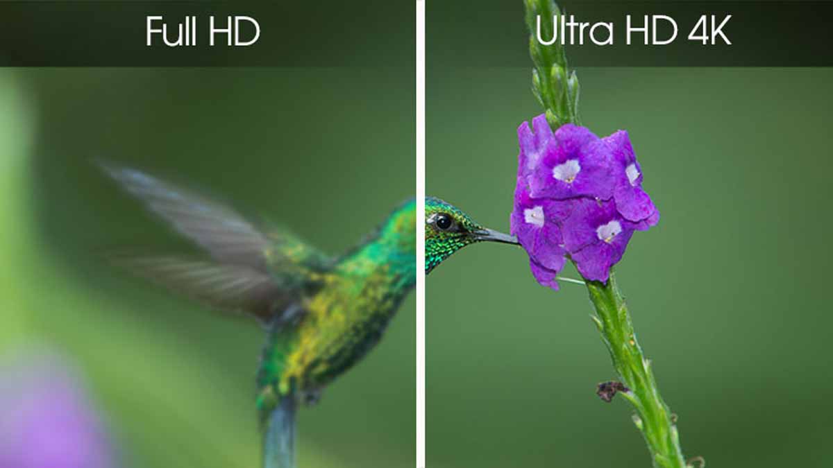 Độ phân giải Ultra HD 4K mang hình ảnh vô cùng sắc nét và chi tiết