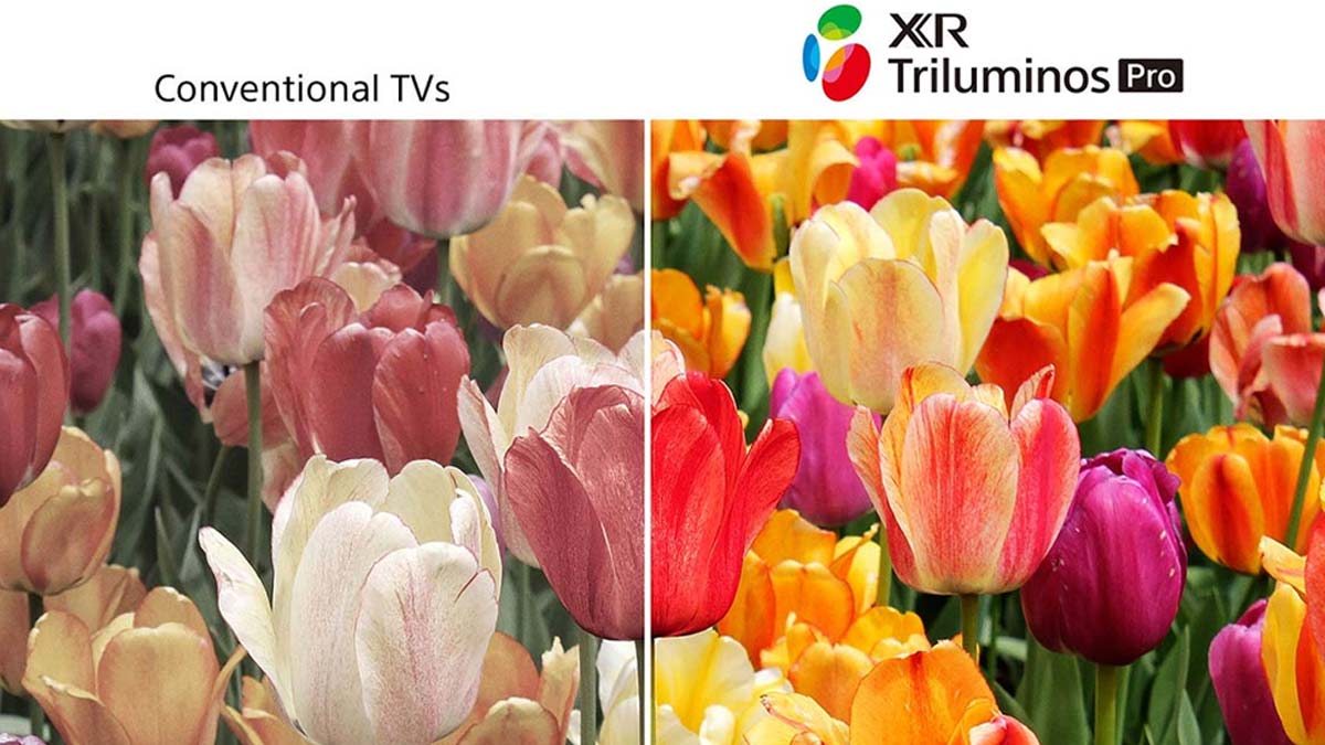 Công nghệ Triluminos Pro mở rộng dải màu sắc thêm chân thực và rực rỡ
