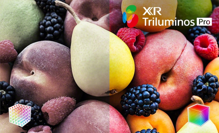 Tận hưởng màu sắc tinh tế và thật sự khác biệt cùng XR Triluminos Pro
