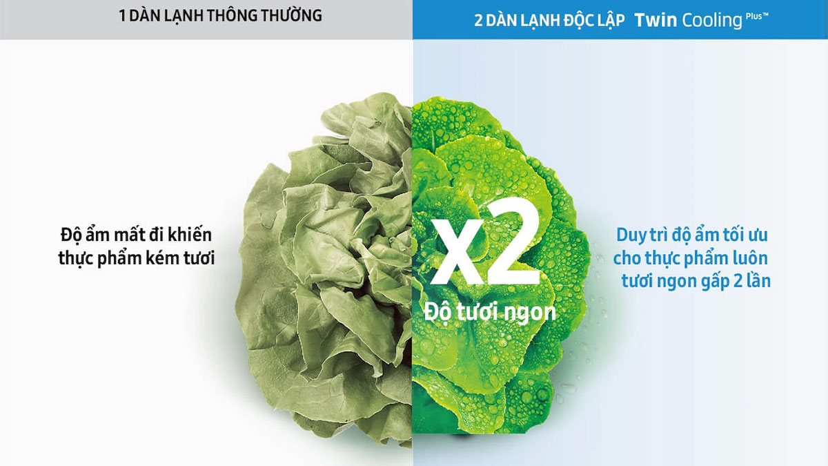 2 Dàn lạnh độc lập Twin Cooling Plus cho thực phẩm tươi ngon gấp 2 lần 