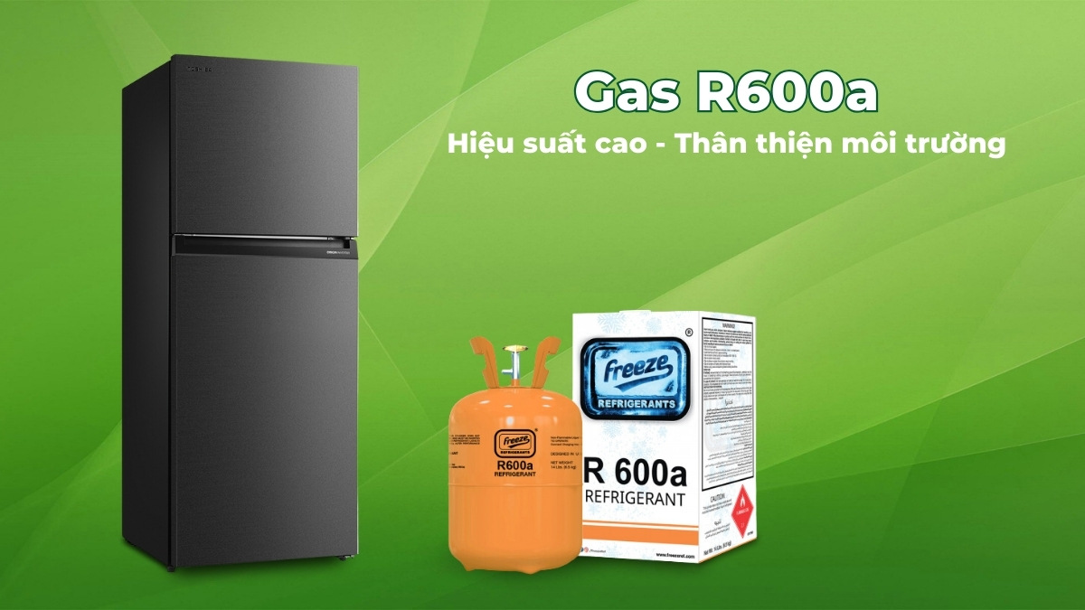 Gas R600a mang lại hiệu suất làm lạnh cao, thân thiện môi trường