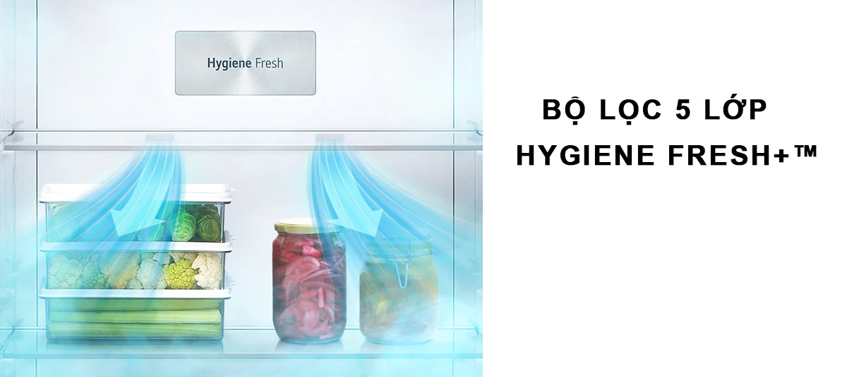 Bộ lọc 5 lớp Hygiene Fresh+™ của Tủ Lạnh LG Inverter GN-D372BLA
