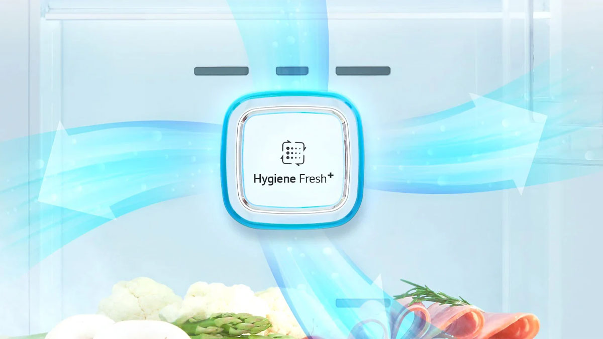 Bộ lọc Hygiene Fresh+ khử khuẩn, giảm thiểu mùi hôi hiệu quả bất ngờ
