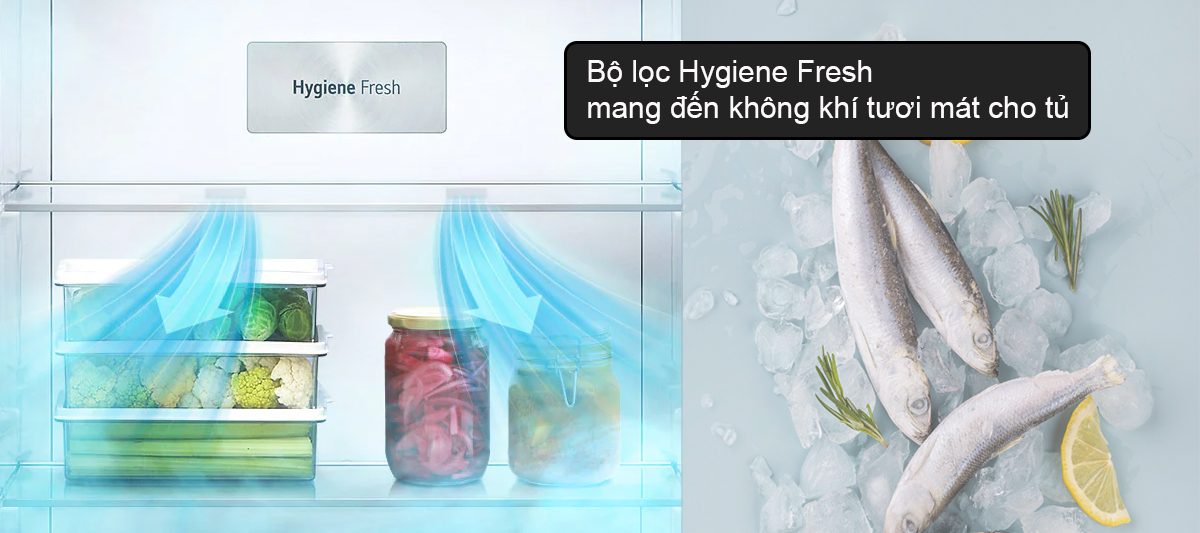 Bộ lọc Hygiene Fresh mang đến không khí tươi mát cho tủ