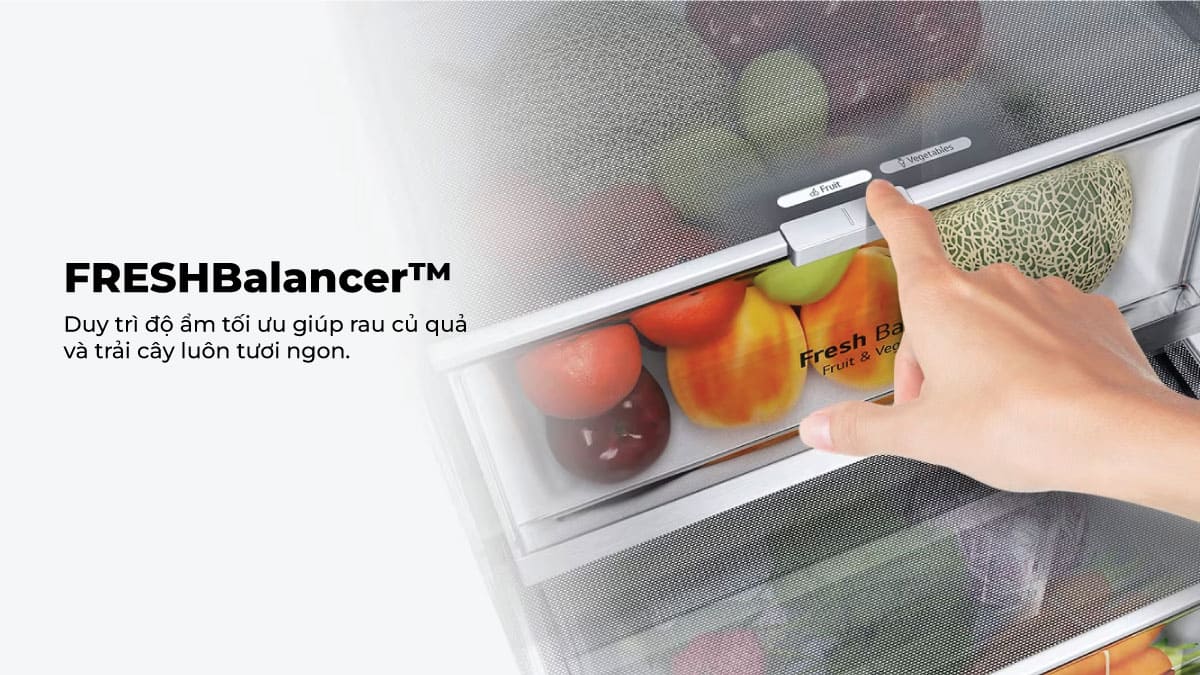 Công nghệ FRESHBalancer™ duy trì môi trường tối ưu để lưu trữ rau củ quả và trái cây