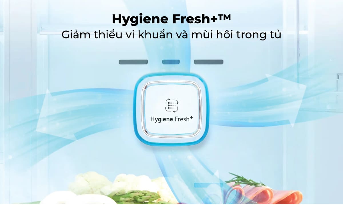 Công nghệ Hygiene FRESH+ giúp môi trường bên trong tủ luôn sạch sẽ