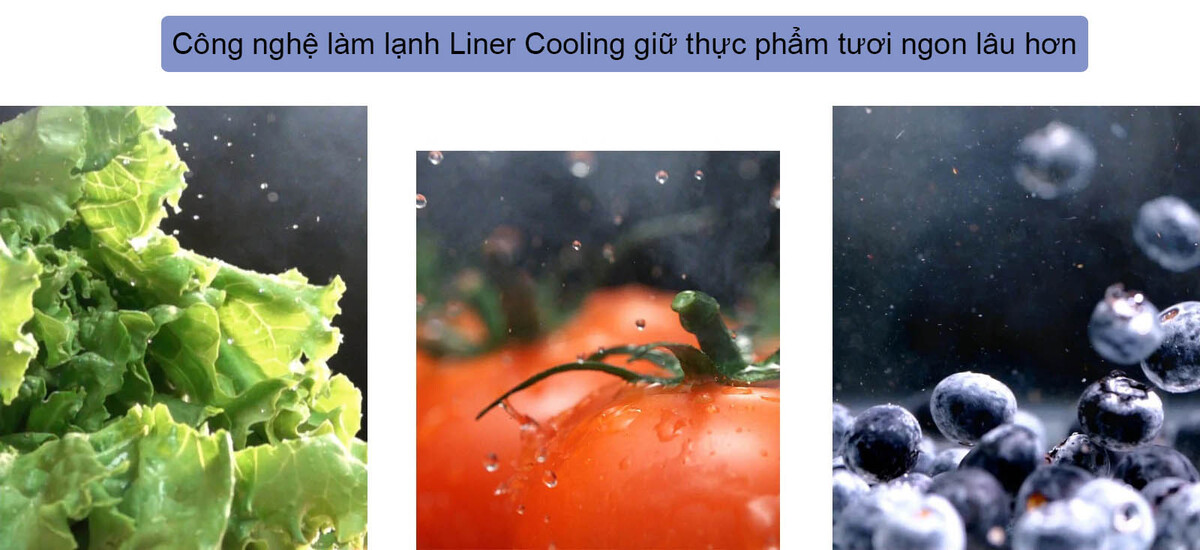 Công nghệ làm lạnh Liner Cooling giữ thực phẩm tươi ngon lâu hơn