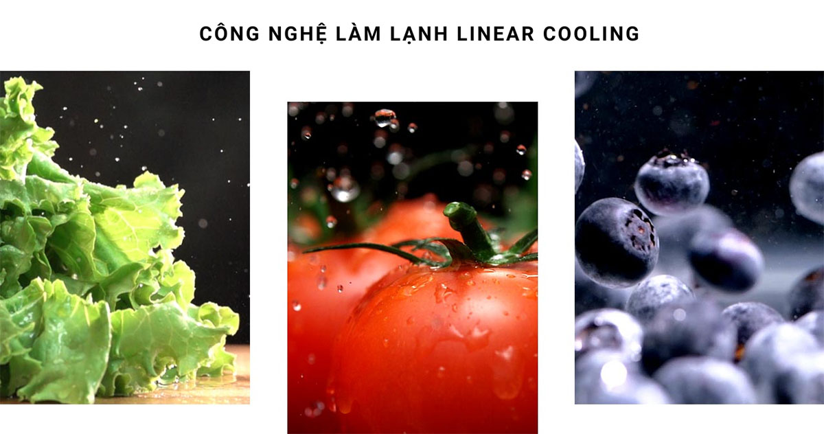 Công nghệ LinearCooling giúp thực phẩm tươi lâu hơn
