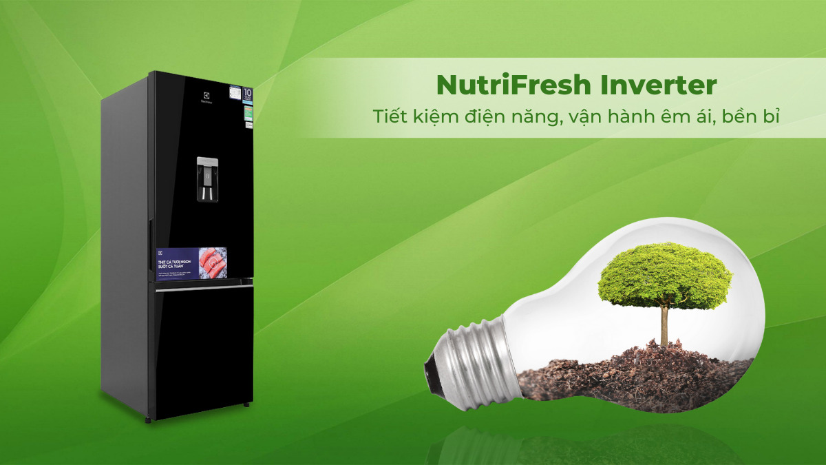 Công nghệ NutriFresh Inverter giúp tối ưu lượng điện tiêu thụ hiệu quả