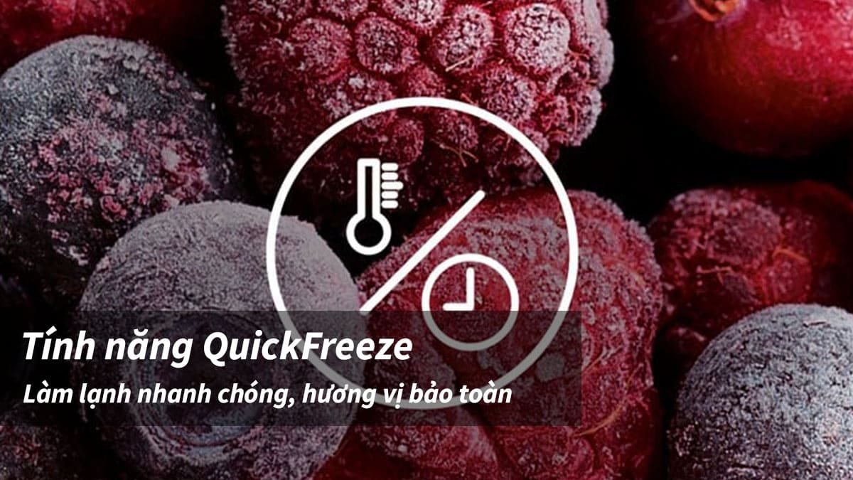 Tính năng QuickFreeze giúp tủ đông lạnh lượng lớn thực phẩm nhanh chóng