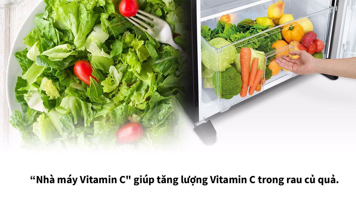 Ngăn rau củ quả mô phỏng đèn LED ánh sáng mặt trời tăng cường vitamin C