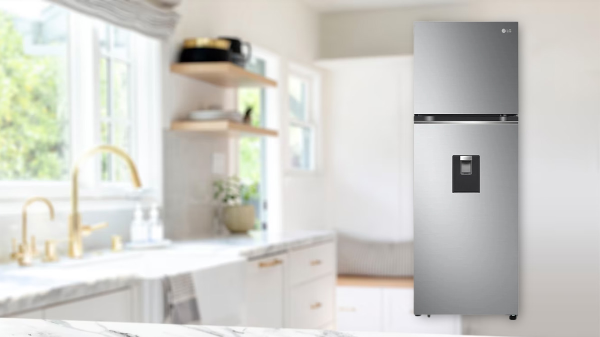 Thiết kế sang trọng của Tủ Lạnh LG Smart Inverter 334 Lít GN-D332PS