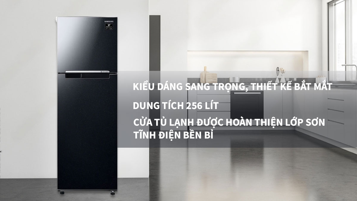 Thiết kế Tủ Lạnh Samsung Inverter TMF-RT25M4032BU bắt mắt, thu hút ánh nhìn