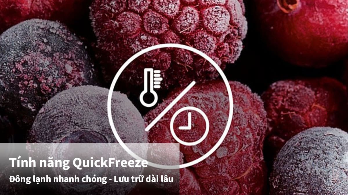 QuickFreeze cho phép tủ cấp đông nhanh chóng trong thời gian ngắn