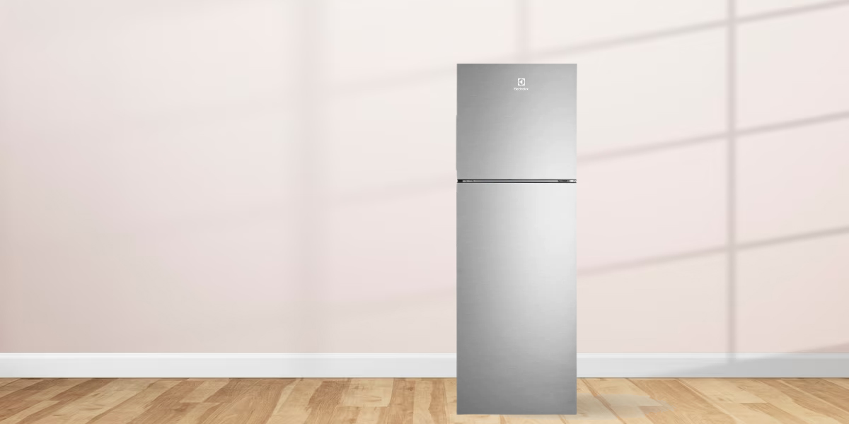 Tủ Lạnh Electrolux Inverter 256 Lít ETB2802H-A có thiết kế sang trọng