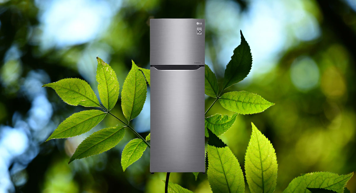 Tủ lạnh LG bảo quản thực phẩm tươi lâu và không gây hại môi trường