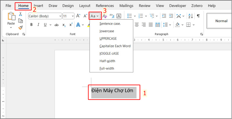 Các tùy chọn đổi kiểu chữ trong Word
