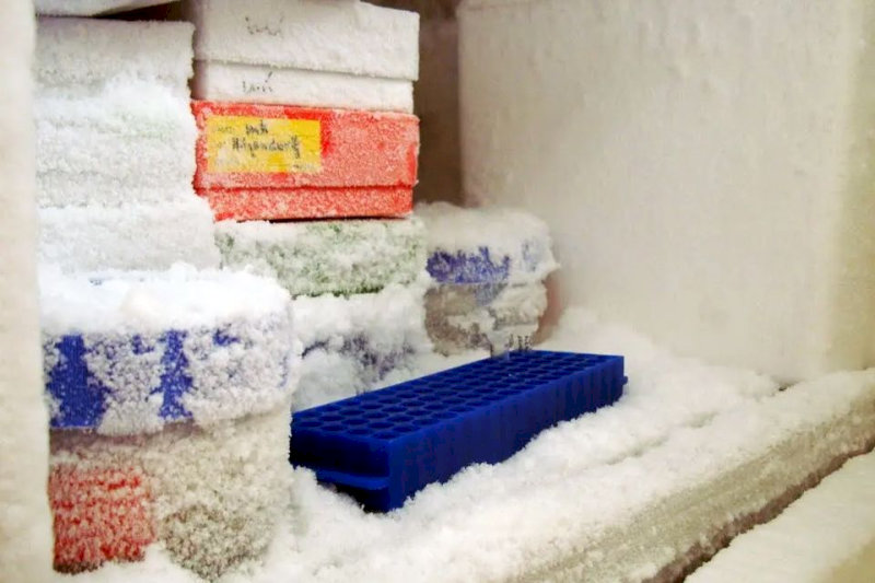 Tủ lạnh bị đóng tuyết làm hạn chế không gian lưu trữ và tiêu tốn điện năng